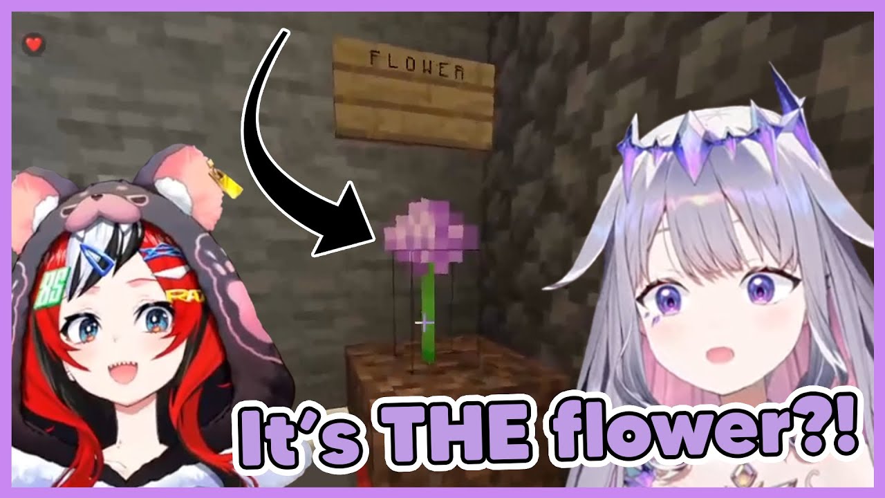 Biboo finally witnessed "THE Flower" from council cave
