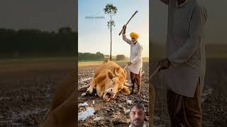 Shocking Scene – Farmer Shows No #cow #cows #cowlover #cowshort #cowvideos #weakcow #rescuecow
