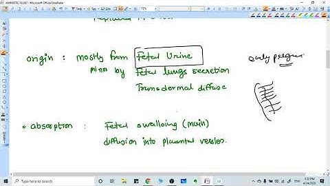 AMNIOTIC FLUID : COMPOSITION;FORMATION;ABSORBTION;COLOR