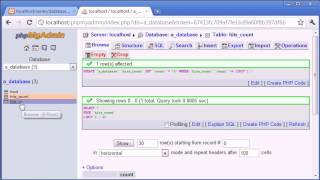 Famous 125 Creating a Database Hit Counter Part 3 Profile