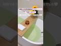 韓国🇰🇷江南エリア🛁おすすめ個室垢すりスパ🫧🧖♀️