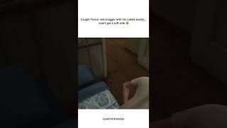 Caught Trevor Midsnuggle With His Cuddle Buddy   Gta V funnymoments mods trevorphilips