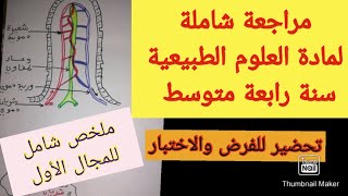 ملخص التغذية عند الانسان مراجعة شاملة للفرض و الاختبار الفصل الأول في لعلوم الطبيعية سنة رابعة متوسط