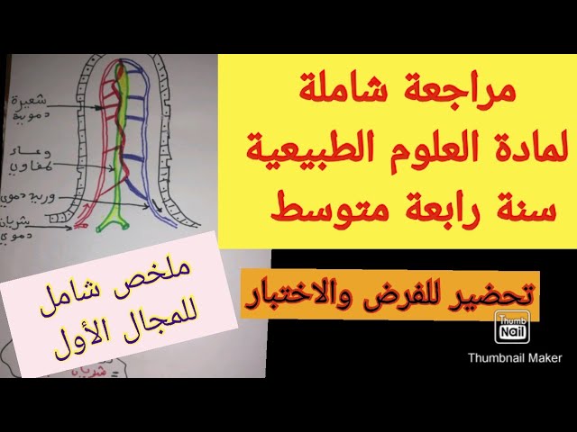 ملخص التغذية عند الانسان مراجعة شاملة للفرض و الاختبار الفصل الأول في لعلوم الطبيعية سنة رابعة متوسط