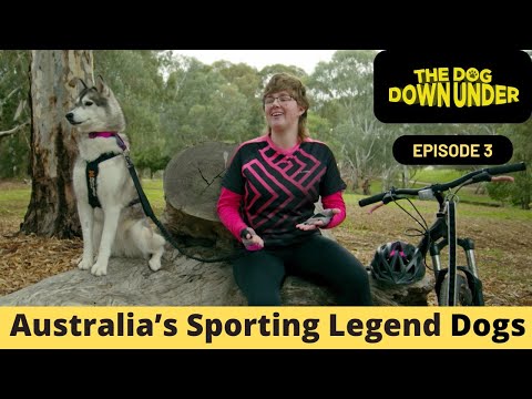 The Dog Down Under | Episode 3 – Australia’s Top 10 Sporting Legend Dogs