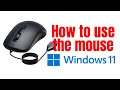 Computer Basics | How to use the mouse