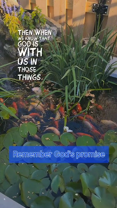 isaiah-41-verse-10-always-remember-god-s-promise-through-hell-and-high