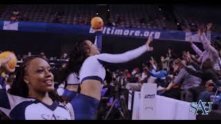 Celebrity SAU Student Engagement & Greek Life Profile