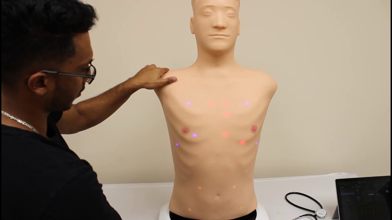 MedVision Auscultation Task Trainer (MATT)