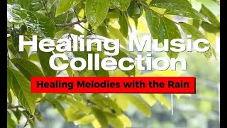 Healing Melodies with the Rain | 2 Hours of Rain Sounds, Jazz & Classical Music | 비와 함께하는 힐링의 선율