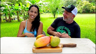 Which Mango Variety Does My Wife Like the Best?