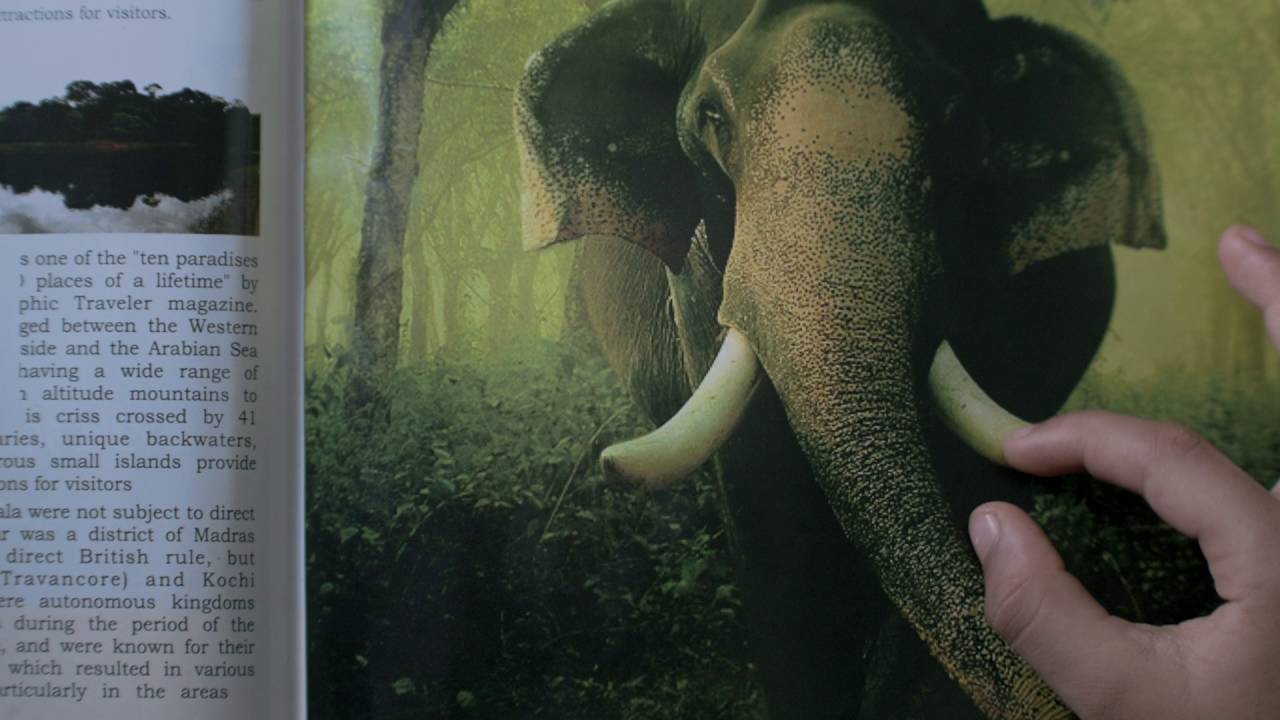 Kerala Tourism - Virtual Insanity