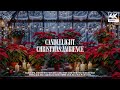 🌺 Winter Greenhouse Ambience – Poinsettia & Candlelight Christmas 4K