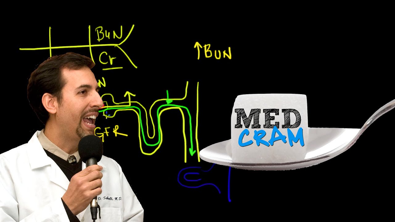 ⁣Acute Renal Failure Explained Clearly by MedCram.com | 2 of 3