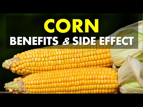 Corn Benefits and Side Effects, Corn Benefits For Health