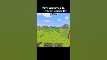 vibrant visual be like 💀 #shorts #shortsfeed #minecraft #minecraftshorts #shaders