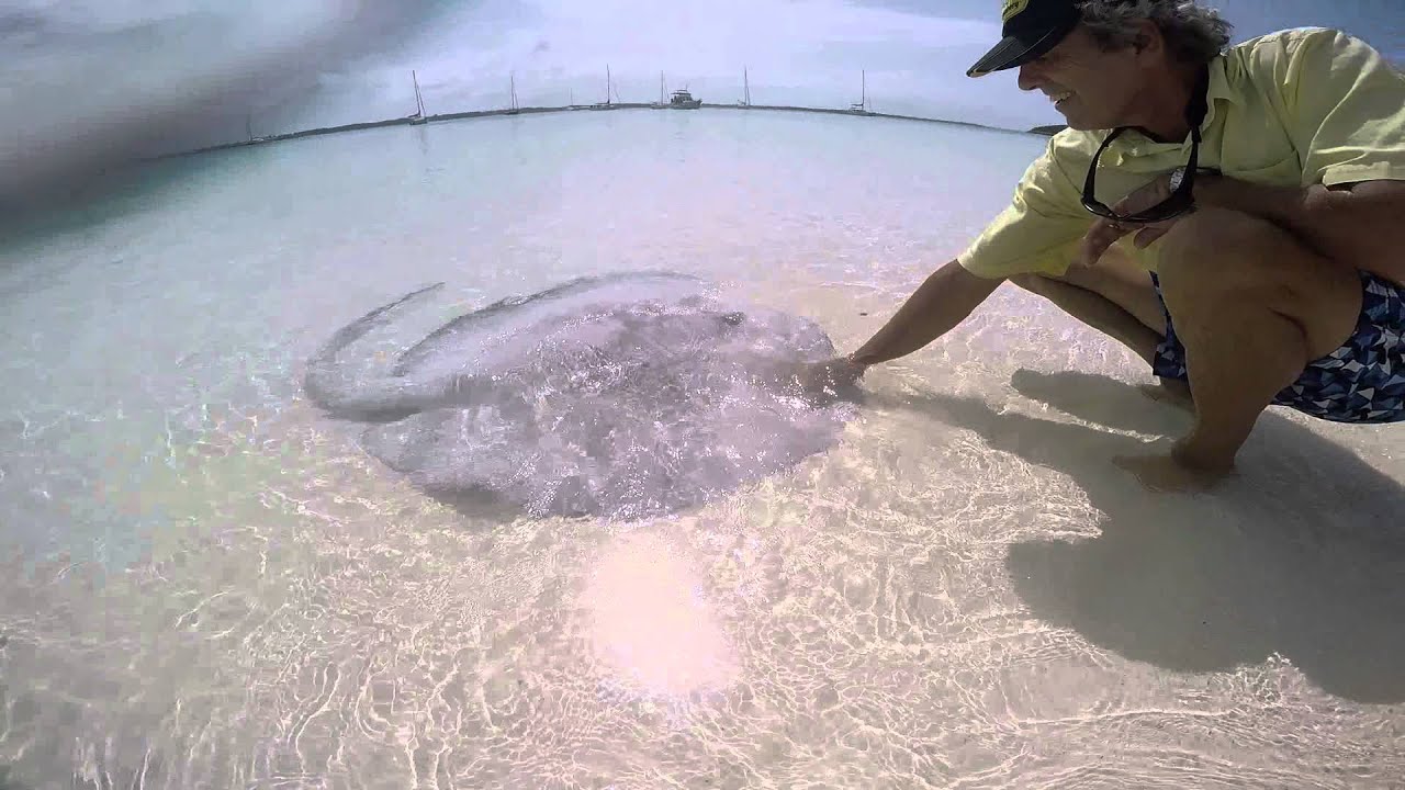 SV Echo Echo Sailing the World, Neil and Jeanette's Adventures- Chat and Chill Beach Bahamas