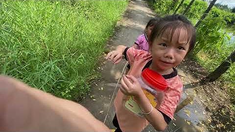 Cách bắt chuồn chuồn Độc Lạ @Chubinhbungbu