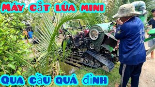 máy cắt lúa mini hàng china qua bàn tay nông dân việt nam by Thái Dương TV 307,611 views 5 months ago 22 minutes