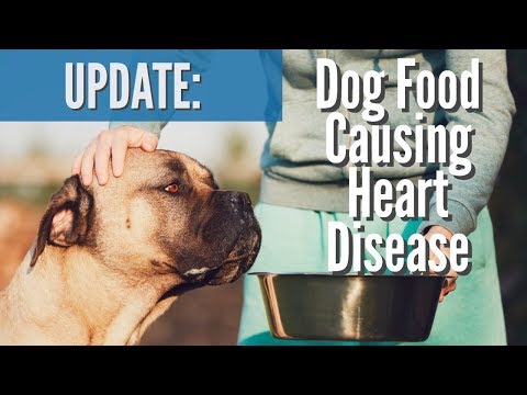 dog foods that are causing heart disease