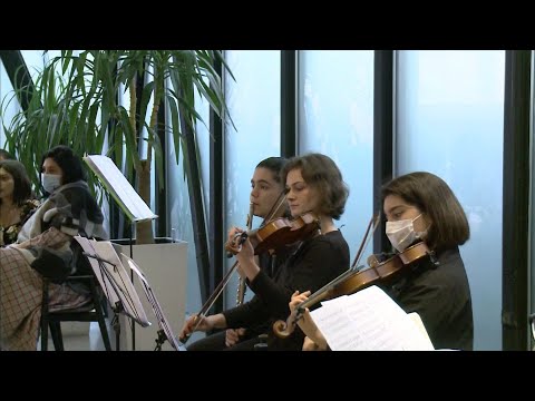 art-ექსპერტი - 23.11