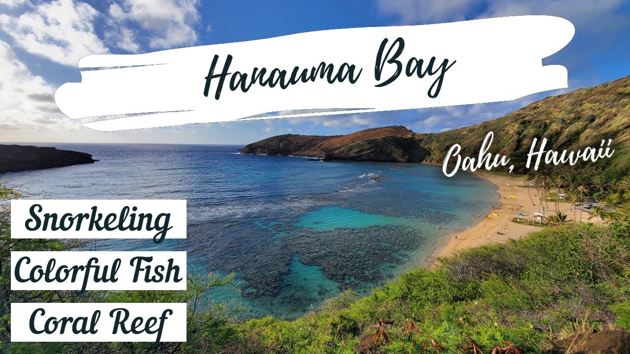 Snorkeling at Hanauma Bay, Hawaii | Best Snorkel spot in Oahu Island ...