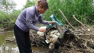 The girl picked a bag containing many dirty money after the flood - Girl has been continuously lucky