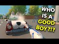 PowerWash Simulator 2 - I Washed A Dog Car