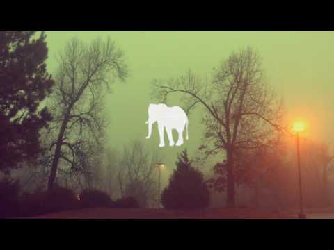 Watch Flannelephants - "Nona" (Official Audio) on YouTube Watch Flannelephants - "Nona" (Official Audio) on YouTube