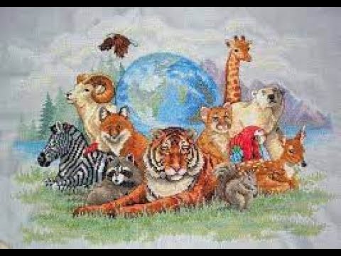 Знакомьтесь! Неожиданные вопросы.