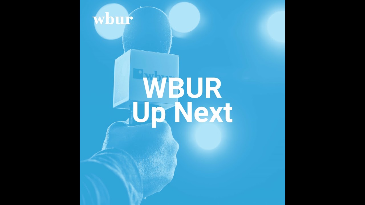 How 'slow birding' — a bird-watching method for novices — works