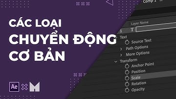 After Effects Tutorials | Các loại chuyển động cơ bản