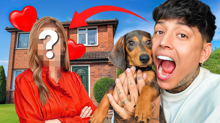 LE REGALE UN PERRITO A MI NOVIA - EL QUE SIEMPRE QUISO