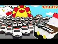 【警察ごっこ】大量のパトカーが出動して事件を解決！トミカのDXポリスステーションやデカパトロールカーも登場！消防車に救急車！はたらくくるまをイッキ見♪・のりもの・子供向け知育教育★サンサンキッズTV★