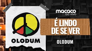 Video thumbnail of "Olodum - É Lindo de Se Ver (Macaco ao Vivo)"