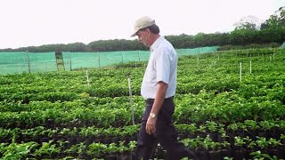 Growing the Future of Coffee, One Tree at a Time