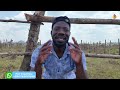 How To Access Land For Farming Breaking Down The Barriers How To Access Land For Farming Breaking Down The Barriers