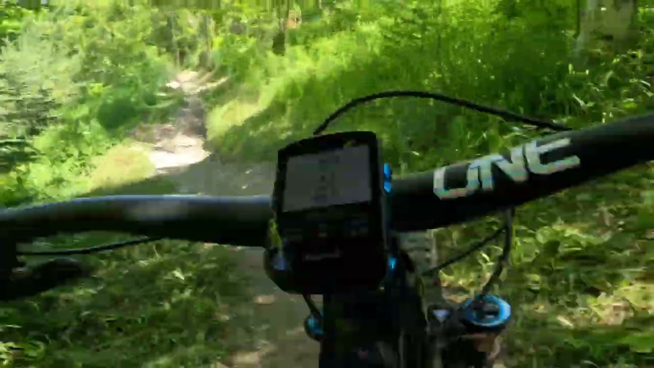 shake n brake horse shoe June 2024