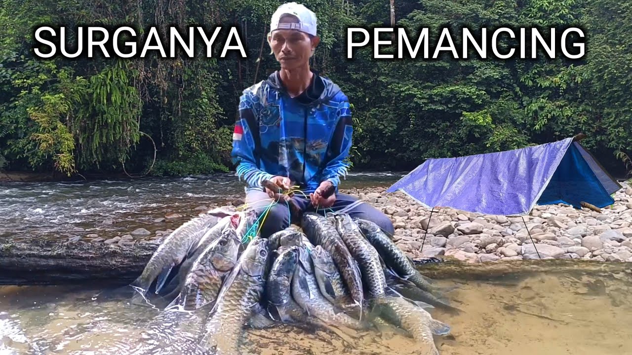 5 HARI BERBURU IKAN SULTAN DI SPOT TAK TERJAMAH MANUSIA