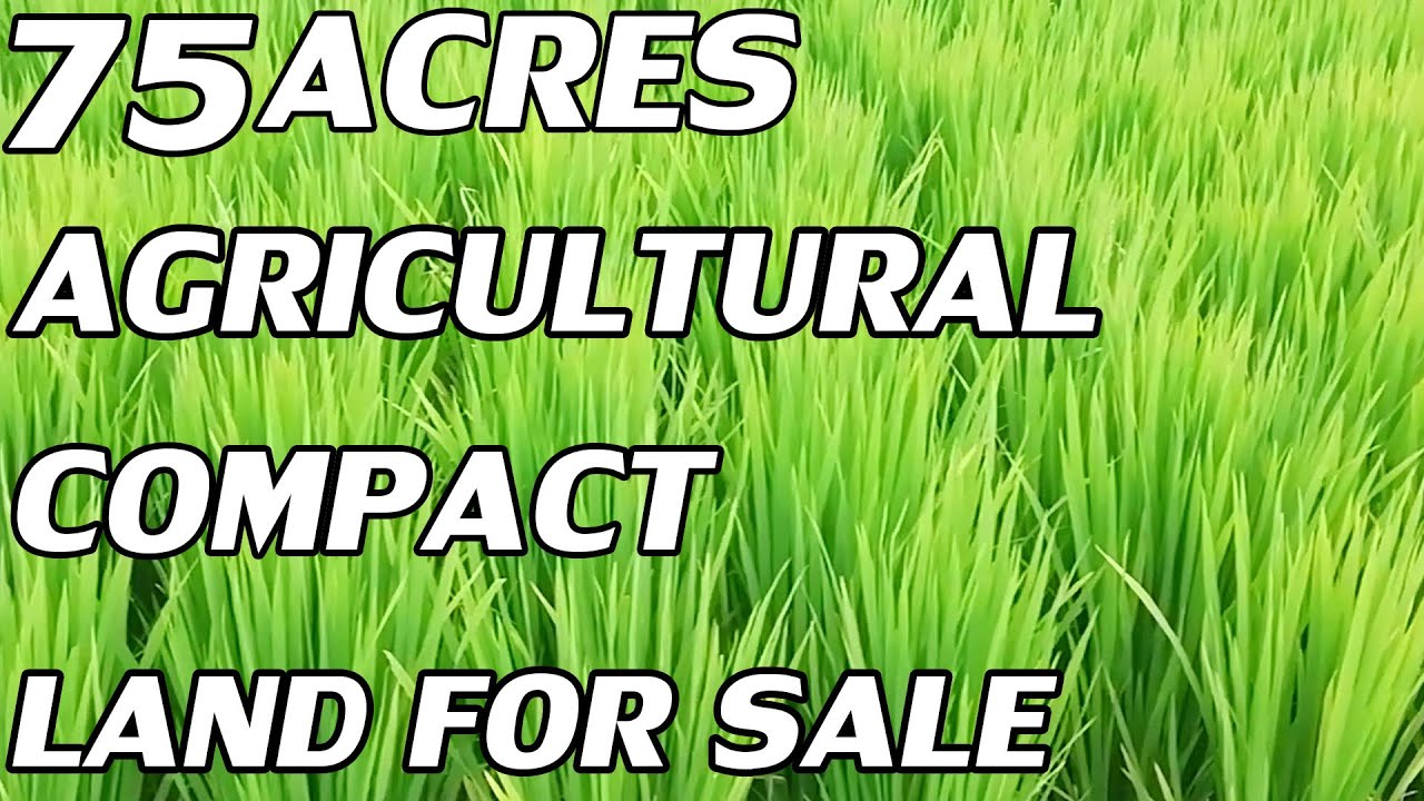 75 ACRES AGRICULTURAL LAND FOR SALE LOW COST COMPACT PROPERTY SALE