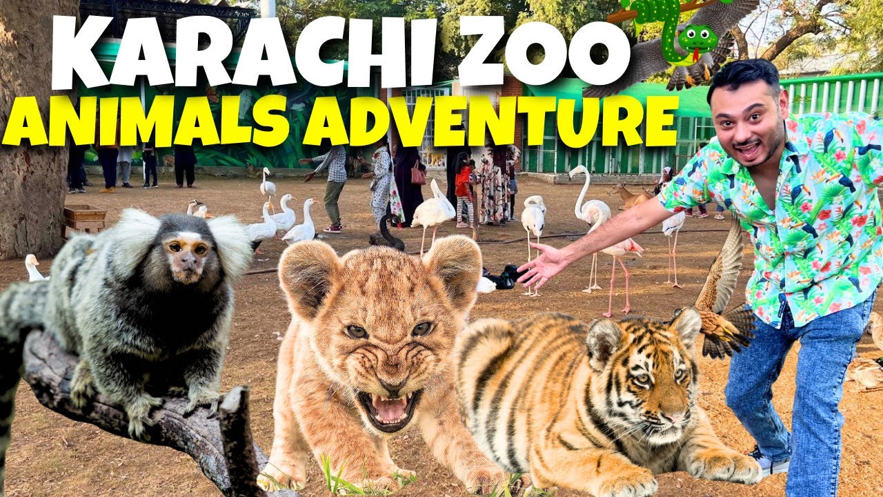 ПРИКЛЮЧЕНИЯ С ЖИВОТНЫМИ: ТУР ПО ЗООПАРКУ КАРАЧИ