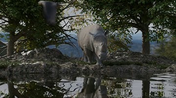 RHINO NATURE SCENE ANIMATION IN BLENDER (4K)