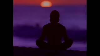 Raven (1992) Martial Arts Action tribute