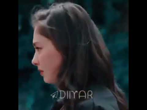 كل ما انسالك كلامك شيرين عبد الوهاب