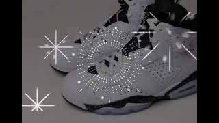 Air Jordan 6 Reverse Oreo Ct8529 112