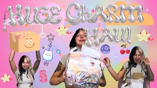 💕⭐️~*HUGE Temu Charm Haul & Organization!*~⭐️💕