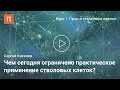 Возможности стволовых клеток взрослого организма – Сергей Киселев