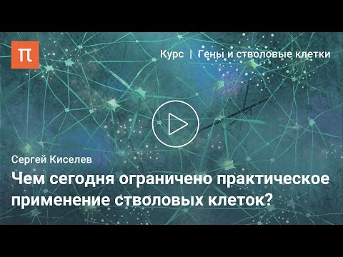 Видео: Геномное картирование кандидатов-энхансеров транскрипции с использованием особенностей ДНК и хроматина у кукурузы