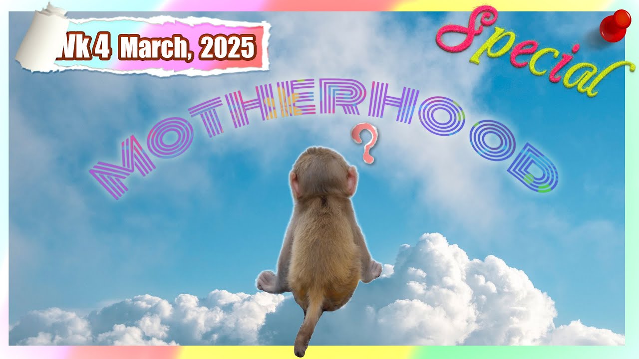 Teeny - the next chapter 🤩