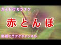 【カラオケ】赤とんぼ 日本の童謡/唱歌 作詞:三木露風 作曲:山田耕筰